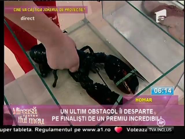 Proba finală pentru concurenţi: secretul din acvariu!