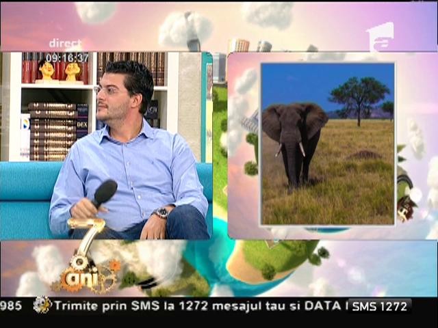 Raiul pe păm&acirc;nt: Africa
