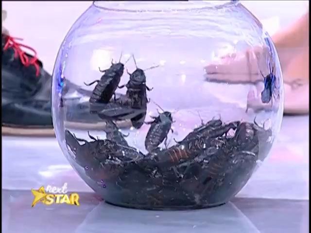 Luana Florea, fetița fără frică: &rdquo;E cool să măn&acirc;nci g&acirc;ndaci&rdquo;