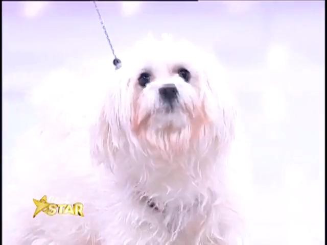 Prezentare: Diana Zaharia - 12 ani, Galaţi