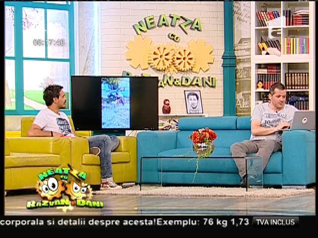 Smiley News: Sunt mai tari dec&acirc;t Tom şi Jerry!