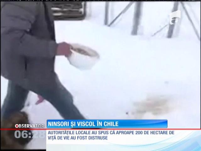 Iarna face ravagii &icirc;n sudul statului Chile! Ger, zăpadă, ninsoare, viscol!