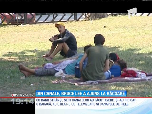 Bruce Lee de Rom&acirc;nia, regele oamenilor străzii, a fost arestat