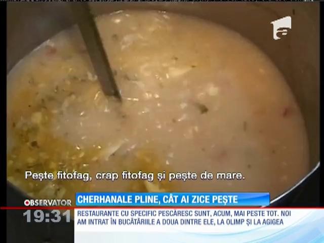 Cherhanale pline, c&acirc;t ai zice peşte