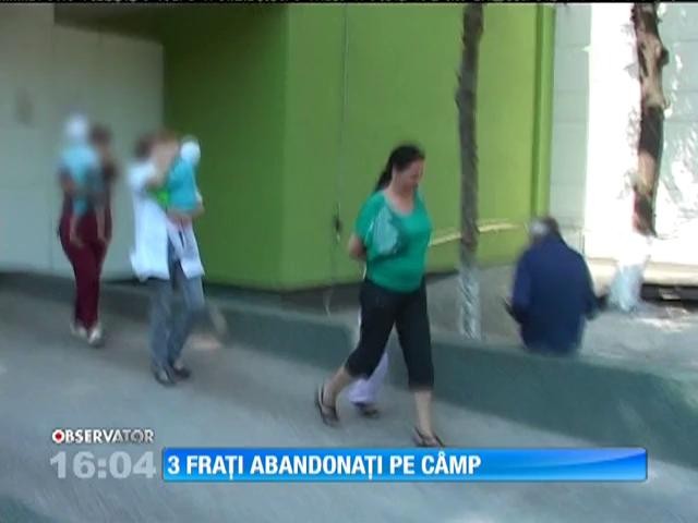 Trei fraţi abandonaţi pe un c&acirc;mp din Vaslui