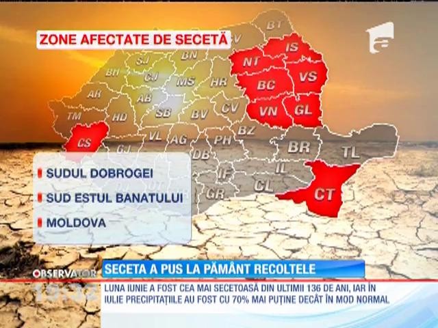 Seceta a pus la păm&acirc;nt recoltele