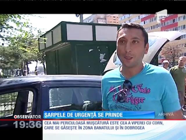 Herpetologul Doru Panaitescu ne &icirc;nvaţă cum se prinde un şarpe