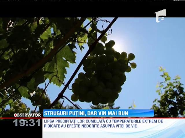 Struguri puțini, dar vin mai bun