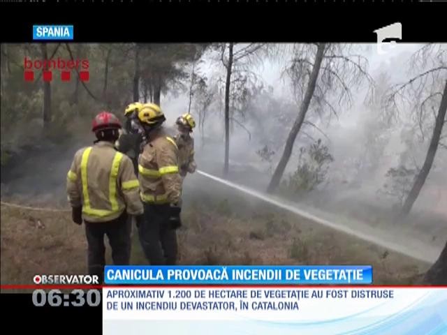 Incendiile de vegetaţie fac ravagii &icirc;n Europa