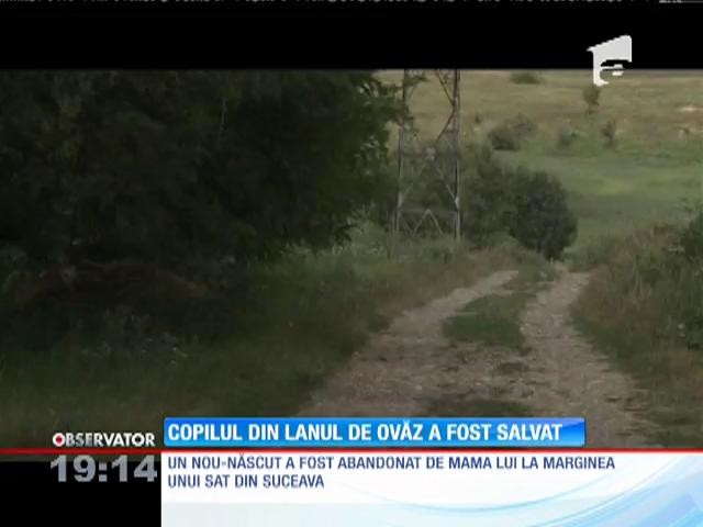 O mamă şi-a abandonat pruncul pe un c&acirc;mp din Suceava