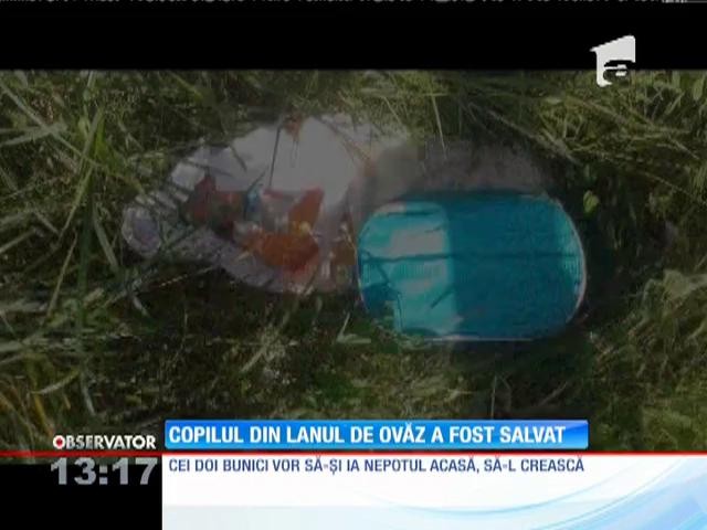 O mamă şi-a lăsat pruncul pe un c&acirc;mp