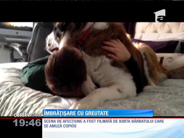 Un c&acirc;ine St Bernard &icirc;şi copleşeşte stăp&acirc;nul cu afecţiune