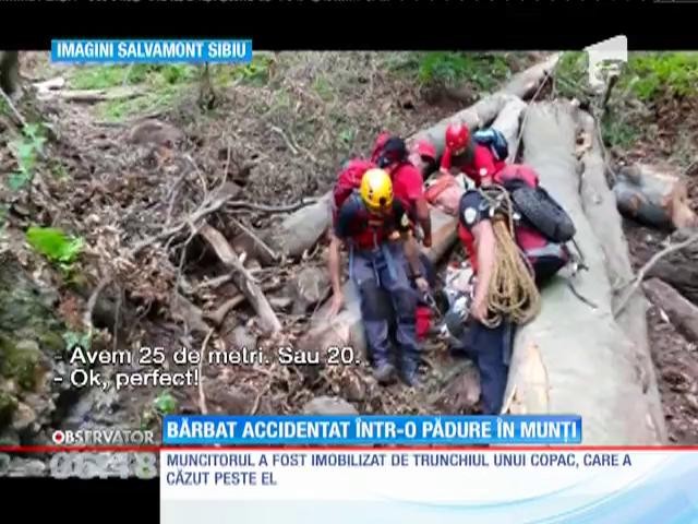 Un t&acirc;năr a suferit un accident de muncă, &icirc;ntr-o pădure din munţii Făgăraş