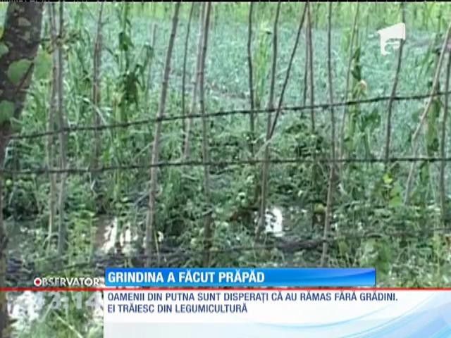 Grindina a făcut prăpăd &icirc;n judeţul Vrancea
