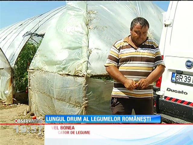 Legumele rom&acirc;neşti tot mai bine v&acirc;ndute de supermarket-uri