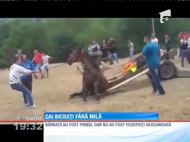 Bărbaţi, filmaţi &icirc;n timp ce &icirc;şi torturau caii