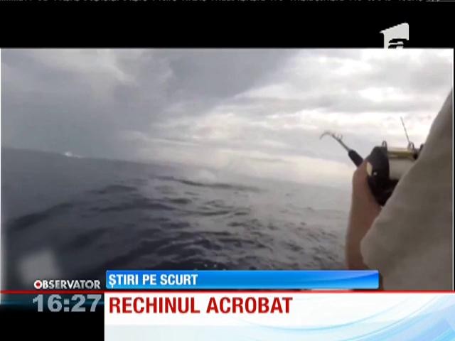 Un rechin a băgat frică &icirc;n doi pescari americani