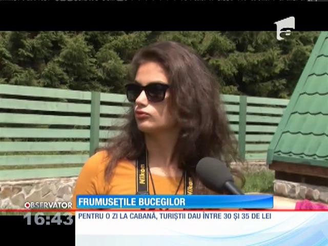 La Bolboci, turiştii găsesc marea din Bucegi