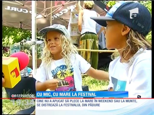 A &icirc;nceput Festivalul Summer Well