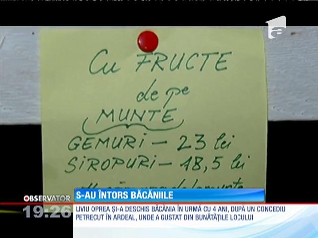 S-au &icirc;ntors băcăniile!