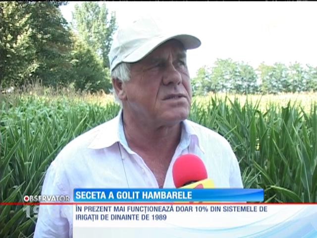 Seceta a pus agricultura rom&acirc;nească la păm&acirc;nt
