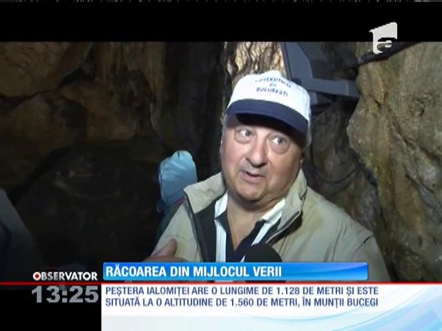 Răcoarea din mijlocul verii