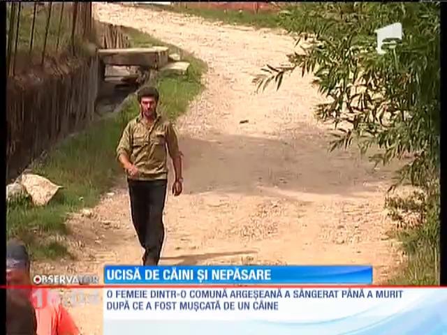 Bătr&acirc;nă de 67 de ani ucisă de un c&acirc;ine, pe stradă