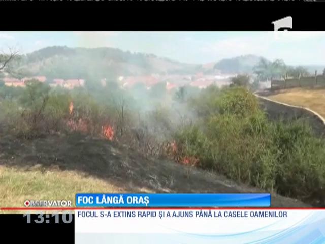 Un puternic incendiu de vegetaţie izbucnit &icirc;n pădurea Calnic