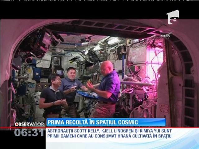 Pentru prima oară &icirc;n istorie, o salată roşie a crescut &icirc;n spaţiu