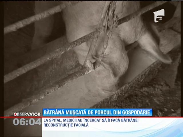 O bătr&acirc;nă din Gorj a ajuns la spital, desfigurată, după ce a fost muşcată de un porc