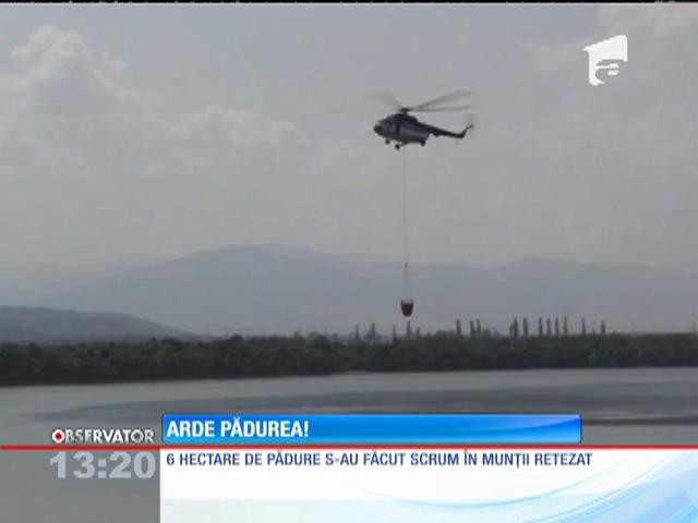 &Icirc;ncediu &icirc;n pădurea de conifere &icirc;n munţii Retezat