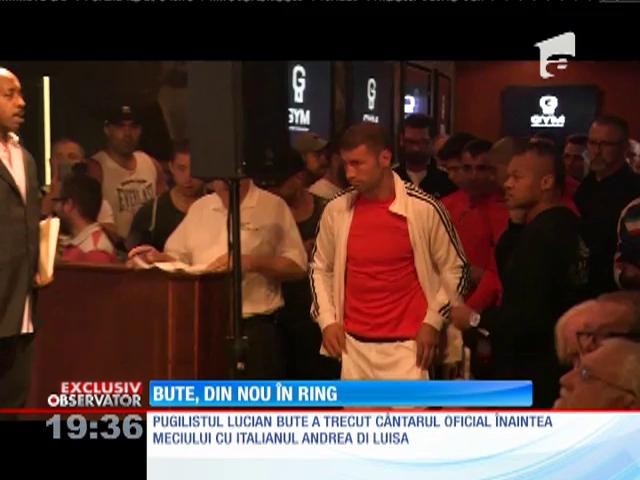 Lucian Bute, &icirc;n ring cu italianul Andrea Di Luisa