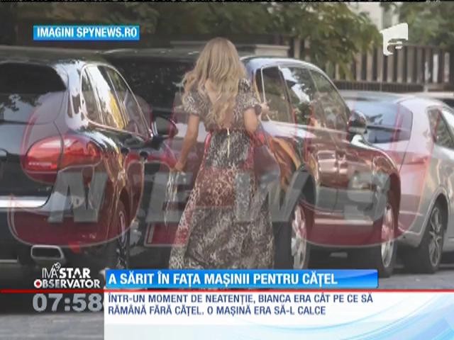 Bianca Drăguşanu a sărit &icirc;n fața mașinii pentru cățel!