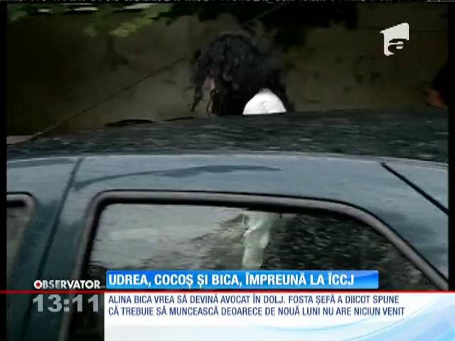 Elena Udrea, Alina Bica şi Alin Cocoş vor să scape de controlul judiciar