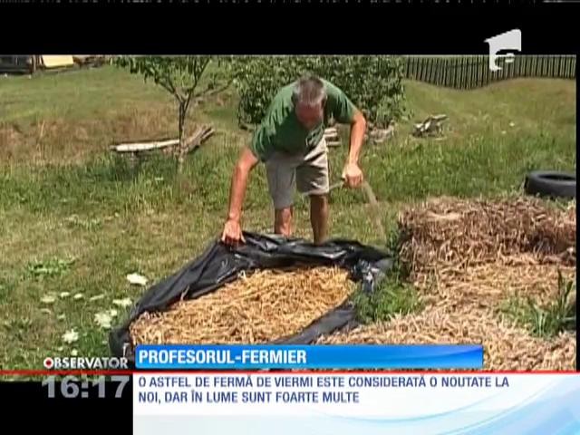 Un profesor de matematică din Harghita produce humus de r&acirc;mă