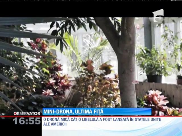 O mini-dronă a fost lansată &icirc;n SUA