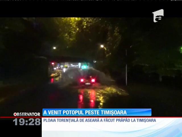 O ploaie torențială a făcut prăpăd &icirc;n Timișoara