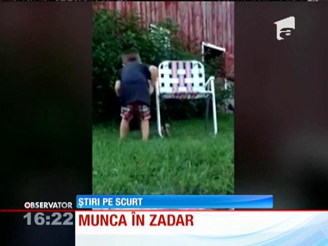 Munca &icirc;n zadar se &icirc;nvaţă &icirc;ncă din copilărie