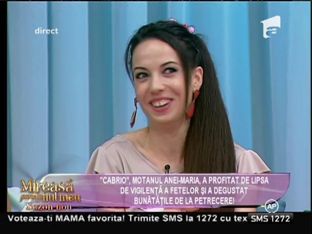 Pisica uneia dintre concurente a dat iama &icirc;n bunătățile de la petrecere!