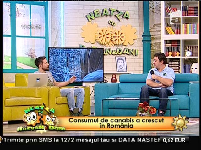 Studiu: &Icirc;n Rom&acirc;nia a crescut consumul de cannabis!