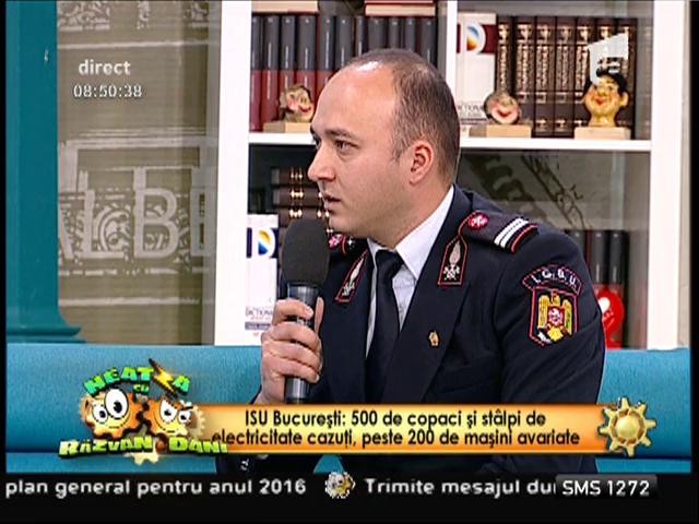 Peste 500 de copaci și st&acirc;lpi de electricitate au cedat sub greutate zăpezii &icirc;n București!