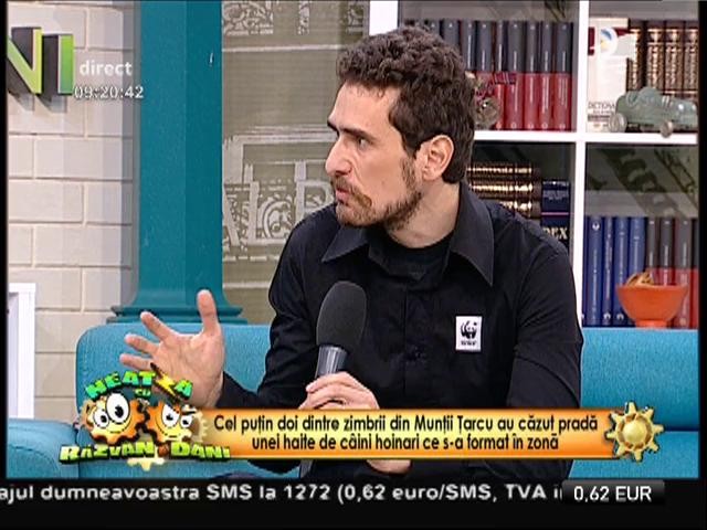 Turma de zimbri din Armeniș, atacată de o haită de c&acirc;ini