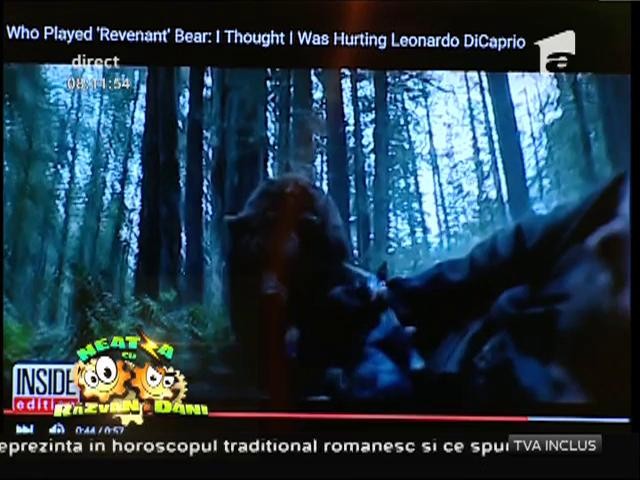 Premiile Oscar 2016. Pe Leo &icirc;l știe toată lumea, de azi, e băiat de Oscar, dar ursul, cine-i ursul?! El este omul care i-a adus premiul lui DiCaprio