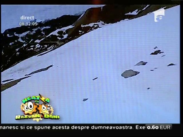 Smiley News! R&acirc;zi cu lacrimi: Ce faci dacă după colțul casei dai nas &icirc;n nas cu un uriaș "moș Martin"?