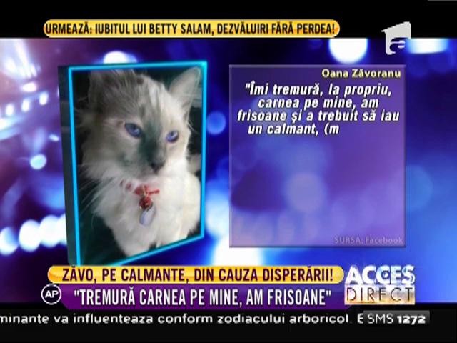 Oana Zăvoranu e disperată! Nu mai poate trăi fără calmante: "Tremură carnea pe mine, am frisoane"