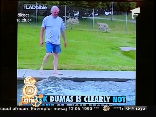 Anunţ &icirc;n toată ţara! Dani Oţil &icirc;şi caută animal de companie! "O pisicuță, o reptiluță?"