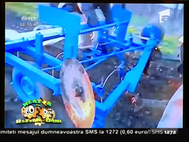 Smiley News: Rușii fac și lucruri bune. Serele ex-sovietice sunt inegalabile