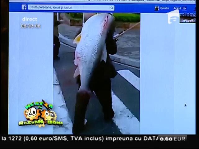 Smiley News: S-a plimbat cu peștele pe spate prin oraș!