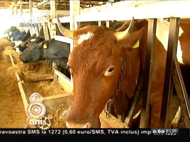 O altfel de fermă a animalelor &icirc;i așteaptă &icirc;n vizită pe cei mici