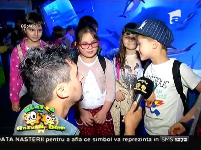 Școala Altfel: Muzeul Național de Istorie Naturală "Grigore Antipa" a pregătit un program special de activități interactive